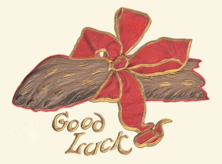 Good-Luck-Rabbit-Foot-With-Ribbon-Unknown-Publisher-Detail